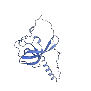 0192_6hcf_T3_v1-1
Structure of the rabbit 80S ribosome stalled on globin mRNA at the stop codon