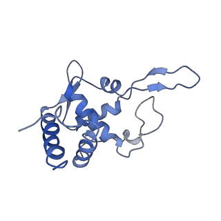 0192_6hcf_U1_v1-1
Structure of the rabbit 80S ribosome stalled on globin mRNA at the stop codon