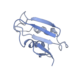 0192_6hcf_U3_v1-1
Structure of the rabbit 80S ribosome stalled on globin mRNA at the stop codon