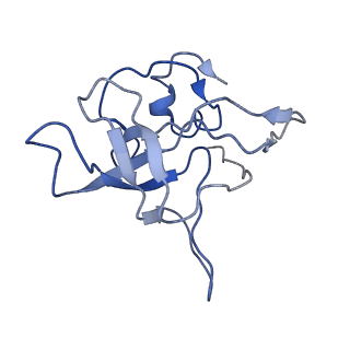 0192_6hcf_V3_v1-1
Structure of the rabbit 80S ribosome stalled on globin mRNA at the stop codon