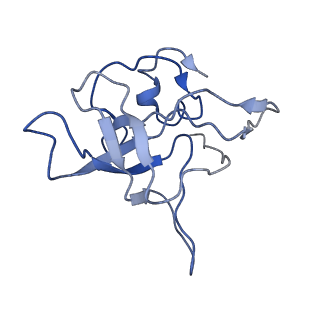 0192_6hcf_V3_v2-0
Structure of the rabbit 80S ribosome stalled on globin mRNA at the stop codon