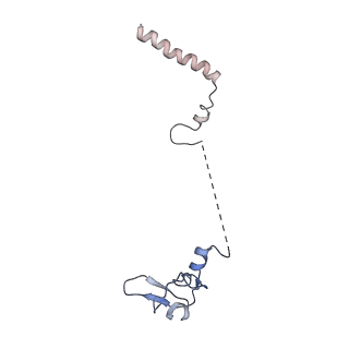 0192_6hcf_W3_v1-1
Structure of the rabbit 80S ribosome stalled on globin mRNA at the stop codon