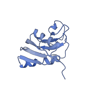 0192_6hcf_X1_v1-1
Structure of the rabbit 80S ribosome stalled on globin mRNA at the stop codon