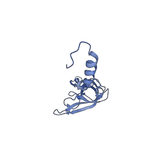 0192_6hcf_Y1_v2-0
Structure of the rabbit 80S ribosome stalled on globin mRNA at the stop codon