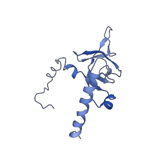 0192_6hcf_Y3_v1-1
Structure of the rabbit 80S ribosome stalled on globin mRNA at the stop codon