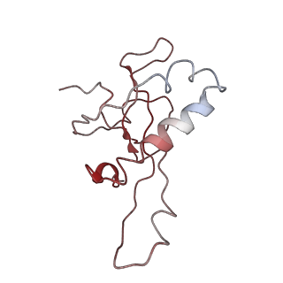 0192_6hcf_Z3_v1-1
Structure of the rabbit 80S ribosome stalled on globin mRNA at the stop codon