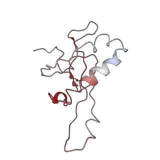 0192_6hcf_Z3_v2-0
Structure of the rabbit 80S ribosome stalled on globin mRNA at the stop codon