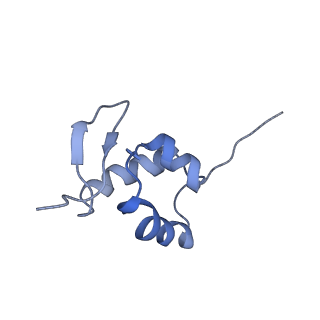0192_6hcf_a1_v1-1
Structure of the rabbit 80S ribosome stalled on globin mRNA at the stop codon