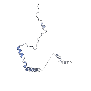 0192_6hcf_b3_v1-1
Structure of the rabbit 80S ribosome stalled on globin mRNA at the stop codon