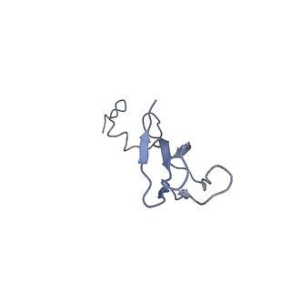 0192_6hcf_c1_v1-1
Structure of the rabbit 80S ribosome stalled on globin mRNA at the stop codon