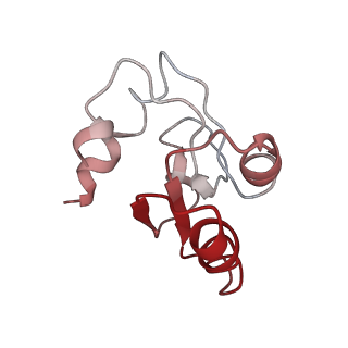 0192_6hcf_c3_v1-1
Structure of the rabbit 80S ribosome stalled on globin mRNA at the stop codon