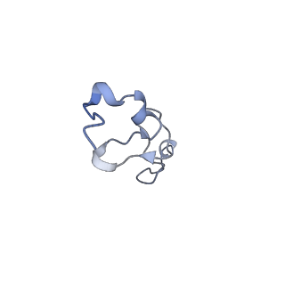 0192_6hcf_e1_v1-1
Structure of the rabbit 80S ribosome stalled on globin mRNA at the stop codon