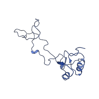 0192_6hcf_e3_v1-1
Structure of the rabbit 80S ribosome stalled on globin mRNA at the stop codon