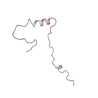 0192_6hcf_f1_v1-1
Structure of the rabbit 80S ribosome stalled on globin mRNA at the stop codon