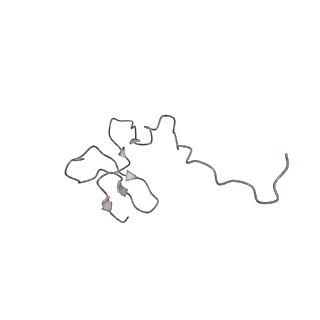 0192_6hcf_g1_v1-1
Structure of the rabbit 80S ribosome stalled on globin mRNA at the stop codon