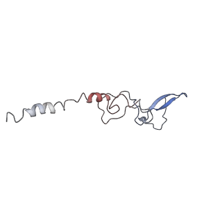 0192_6hcf_g3_v1-1
Structure of the rabbit 80S ribosome stalled on globin mRNA at the stop codon