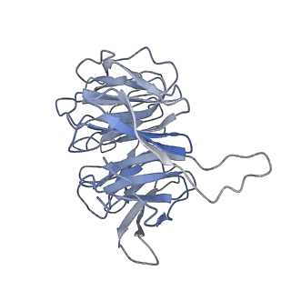 0192_6hcf_h1_v1-1
Structure of the rabbit 80S ribosome stalled on globin mRNA at the stop codon