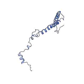 0192_6hcf_h3_v1-1
Structure of the rabbit 80S ribosome stalled on globin mRNA at the stop codon