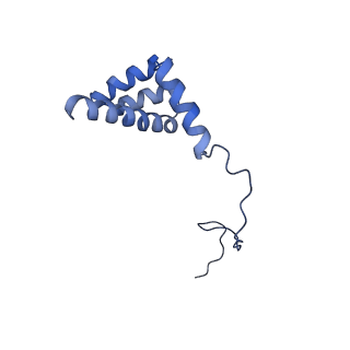 0192_6hcf_i3_v1-1
Structure of the rabbit 80S ribosome stalled on globin mRNA at the stop codon