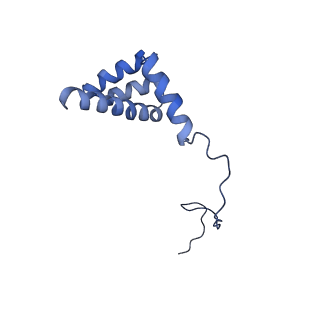 0192_6hcf_i3_v2-0
Structure of the rabbit 80S ribosome stalled on globin mRNA at the stop codon