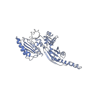 0192_6hcf_j1_v1-1
Structure of the rabbit 80S ribosome stalled on globin mRNA at the stop codon