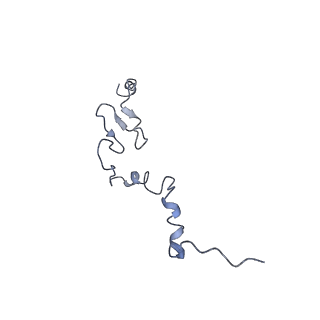 0192_6hcf_j3_v1-1
Structure of the rabbit 80S ribosome stalled on globin mRNA at the stop codon