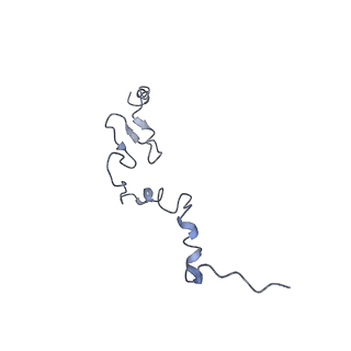 0192_6hcf_j3_v2-0
Structure of the rabbit 80S ribosome stalled on globin mRNA at the stop codon