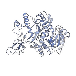 0192_6hcf_k1_v1-1
Structure of the rabbit 80S ribosome stalled on globin mRNA at the stop codon