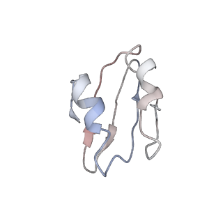 0192_6hcf_k3_v1-1
Structure of the rabbit 80S ribosome stalled on globin mRNA at the stop codon