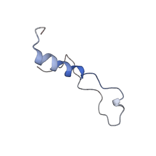 0192_6hcf_l3_v1-1
Structure of the rabbit 80S ribosome stalled on globin mRNA at the stop codon