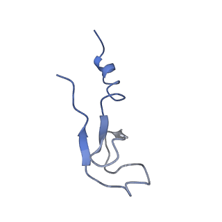 0192_6hcf_m3_v2-0
Structure of the rabbit 80S ribosome stalled on globin mRNA at the stop codon
