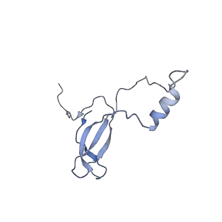 0192_6hcf_o3_v2-0
Structure of the rabbit 80S ribosome stalled on globin mRNA at the stop codon