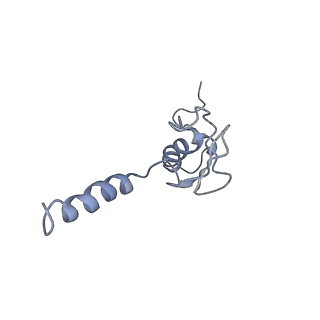 0192_6hcf_p3_v1-1
Structure of the rabbit 80S ribosome stalled on globin mRNA at the stop codon