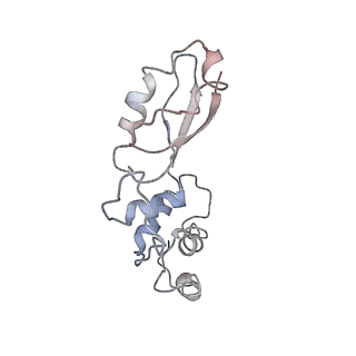0192_6hcf_t3_v1-1
Structure of the rabbit 80S ribosome stalled on globin mRNA at the stop codon