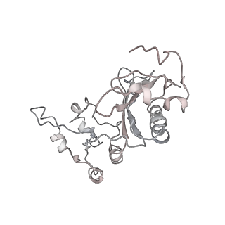 0192_6hcf_u3_v1-1
Structure of the rabbit 80S ribosome stalled on globin mRNA at the stop codon