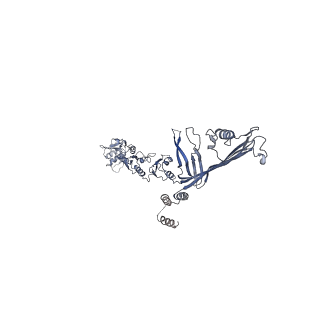 0193_6hcg_C_v1-1
Klebsiella pneumoniae type II secretion system outer membrane complex. PulD, PulS and PulC HR domain.
