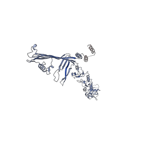 0193_6hcg_L_v1-1
Klebsiella pneumoniae type II secretion system outer membrane complex. PulD, PulS and PulC HR domain.