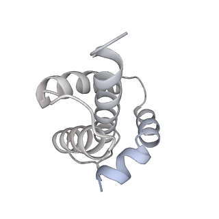 0193_6hcg_U_v1-1
Klebsiella pneumoniae type II secretion system outer membrane complex. PulD, PulS and PulC HR domain.
