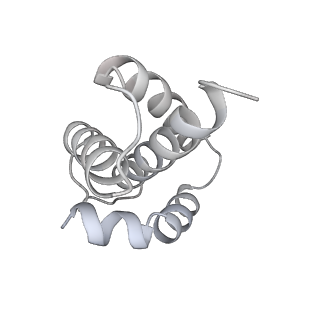 0193_6hcg_W_v1-1
Klebsiella pneumoniae type II secretion system outer membrane complex. PulD, PulS and PulC HR domain.