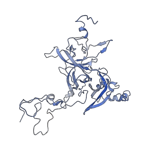 0194_6hcj_B3_v1-1
Structure of the rabbit 80S ribosome on globin mRNA in the rotated state with A/P and P/E tRNAs