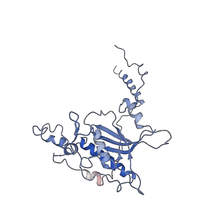 0194_6hcj_D3_v1-1
Structure of the rabbit 80S ribosome on globin mRNA in the rotated state with A/P and P/E tRNAs
