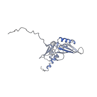 0194_6hcj_E2_v1-1
Structure of the rabbit 80S ribosome on globin mRNA in the rotated state with A/P and P/E tRNAs
