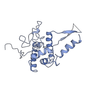 0194_6hcj_G2_v1-1
Structure of the rabbit 80S ribosome on globin mRNA in the rotated state with A/P and P/E tRNAs