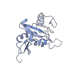 0194_6hcj_I2_v1-1
Structure of the rabbit 80S ribosome on globin mRNA in the rotated state with A/P and P/E tRNAs