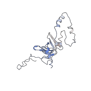 0194_6hcj_J2_v1-1
Structure of the rabbit 80S ribosome on globin mRNA in the rotated state with A/P and P/E tRNAs