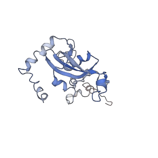 0194_6hcj_N3_v1-1
Structure of the rabbit 80S ribosome on globin mRNA in the rotated state with A/P and P/E tRNAs