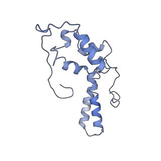 0194_6hcj_O2_v1-1
Structure of the rabbit 80S ribosome on globin mRNA in the rotated state with A/P and P/E tRNAs