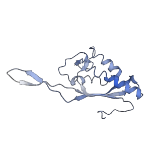 0194_6hcj_P3_v1-1
Structure of the rabbit 80S ribosome on globin mRNA in the rotated state with A/P and P/E tRNAs