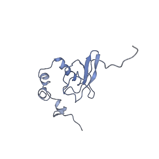 0194_6hcj_Q2_v1-1
Structure of the rabbit 80S ribosome on globin mRNA in the rotated state with A/P and P/E tRNAs