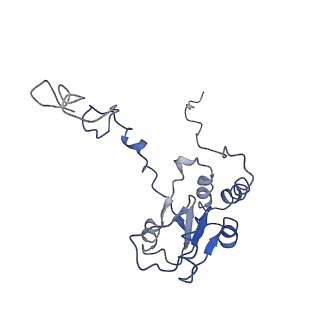 0194_6hcj_Q3_v1-1
Structure of the rabbit 80S ribosome on globin mRNA in the rotated state with A/P and P/E tRNAs